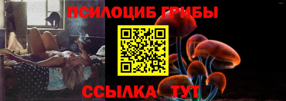 Галлюциногенные грибы GOLDEN TEACHER Новошахтинск