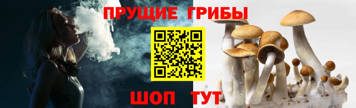 Галлюциногенные грибы MAGIC MUSHROOMS  хочу наркоту  Новошахтинск  Псилоцибиновые грибы Psilocybine cubensis  Вход с VPN 