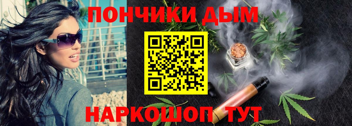 Шишки марихуана планчик Новошахтинск